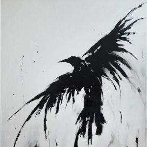 black Raven